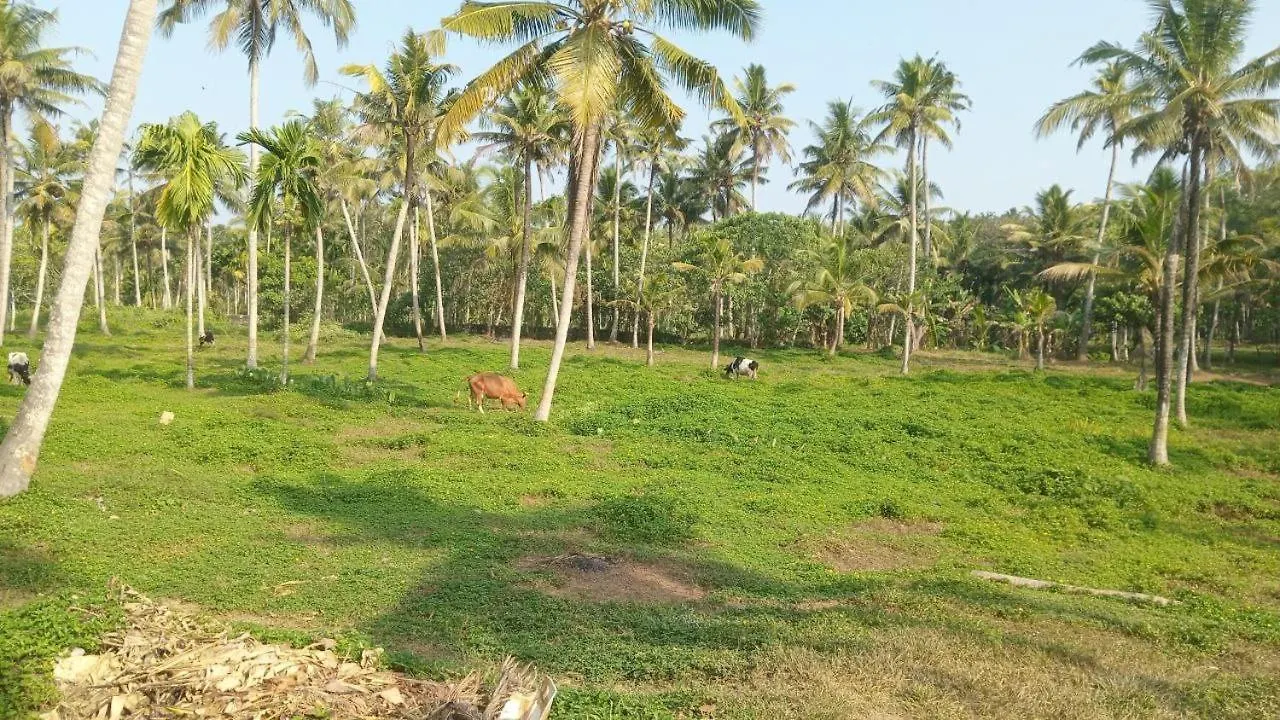 White Castle Homestay Varkala India